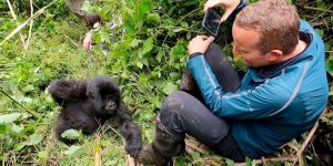 2 Days Rwanda gorilla tour & Mt Bisoke hike