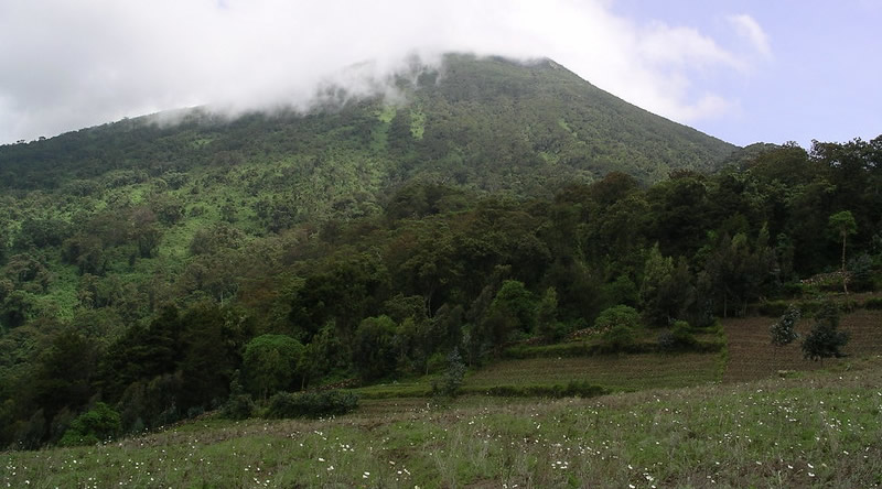 2 Days Rwanda gorillas & Mt Bisoke hike