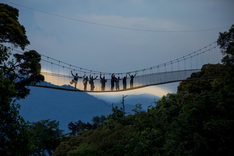 nyungwe forest safari