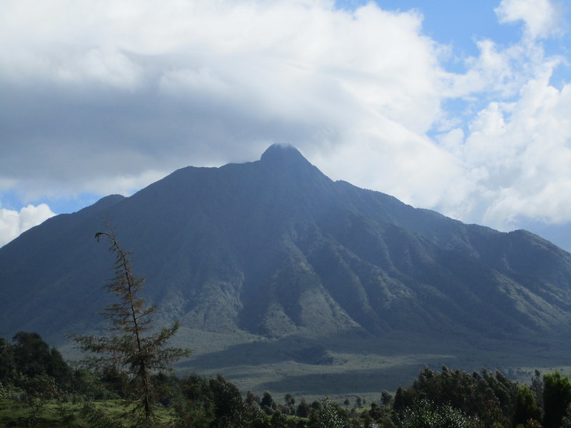 virunga safaris