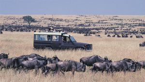 10 Days Kenya & Tanzania safari