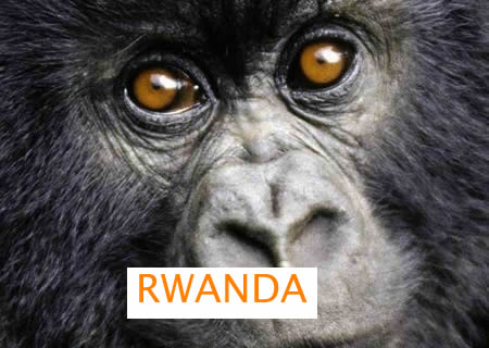 Lets go Tours Rwanda