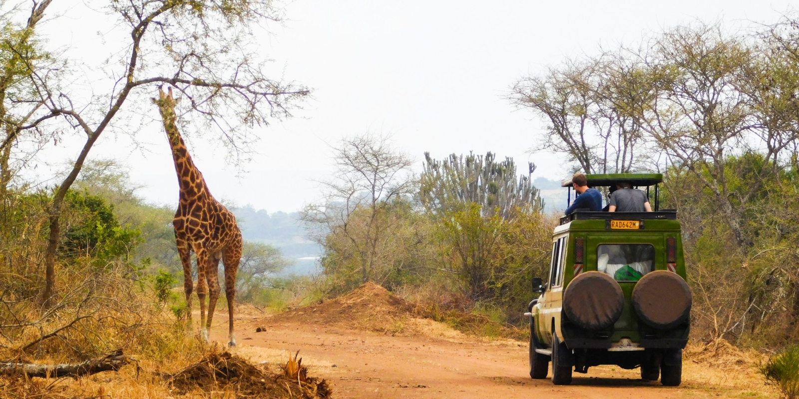 Akagera National Park