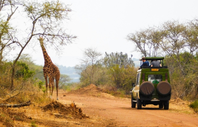 Akagera National Park