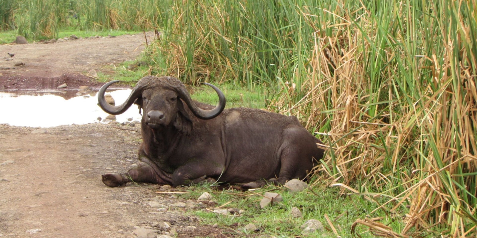 Arusha National Park