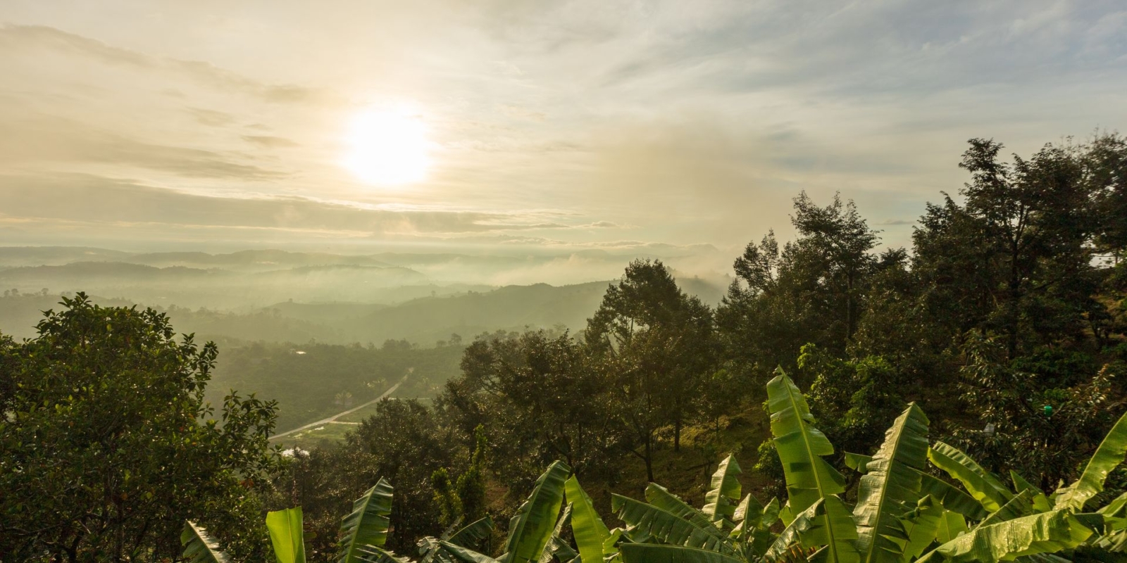 Bwindi Impenetrable National Park