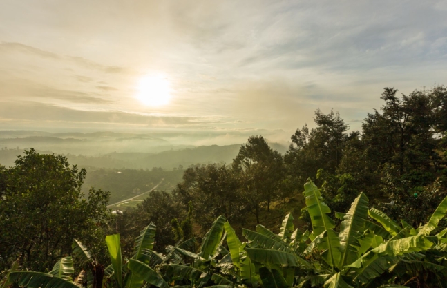 Bwindi Impenetrable National Park