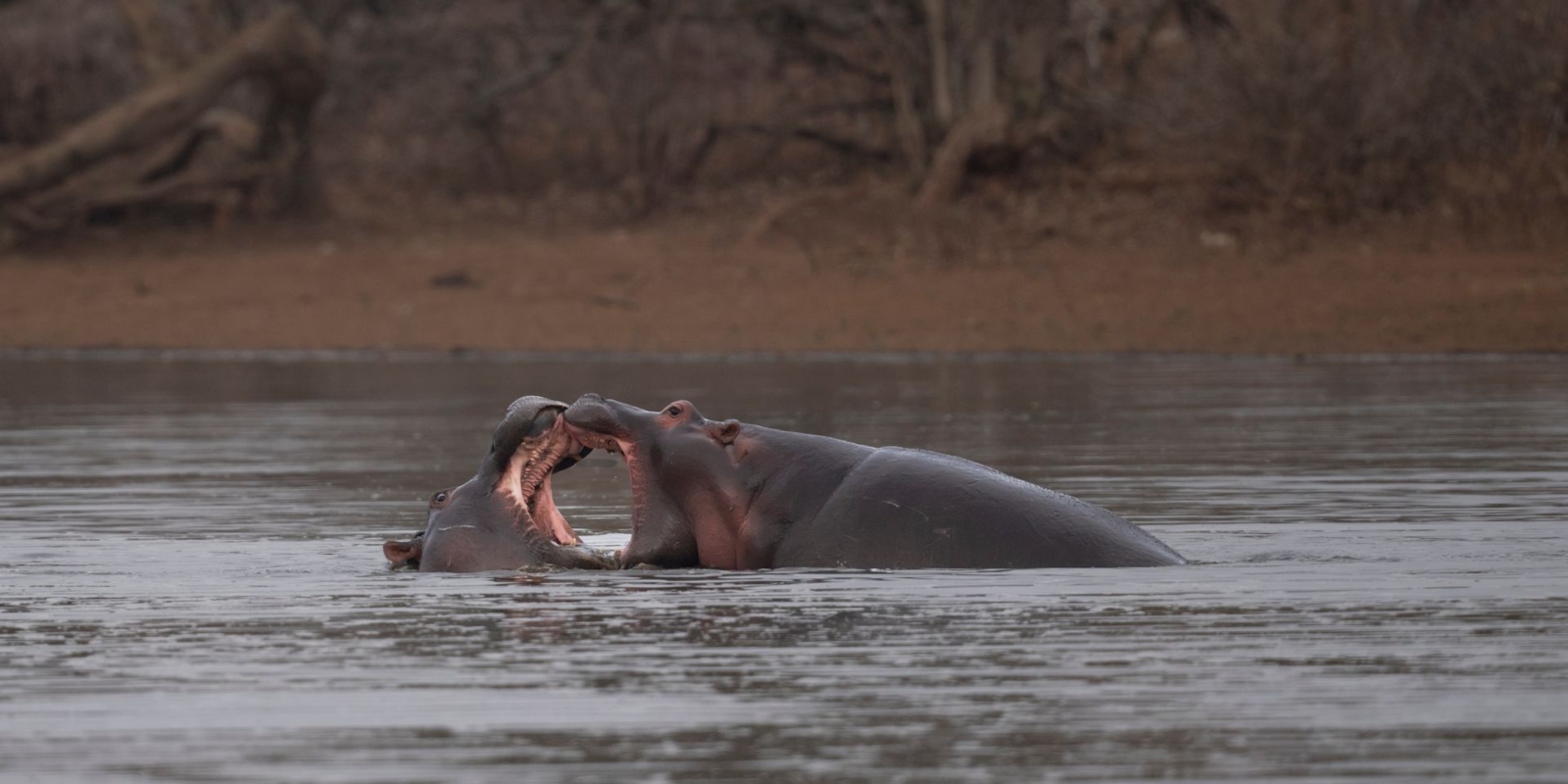 Lake Mburo National Park