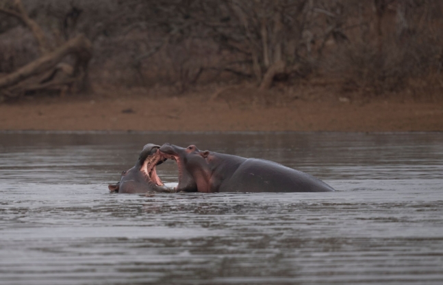 Lake Mburo National Park