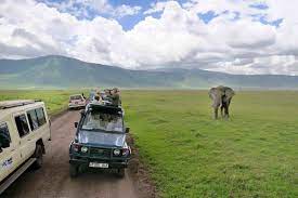 Tanzania Safaris