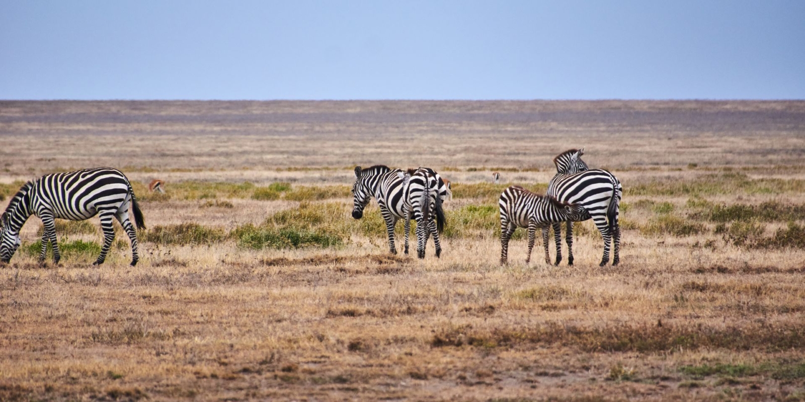 Serengeti National Park