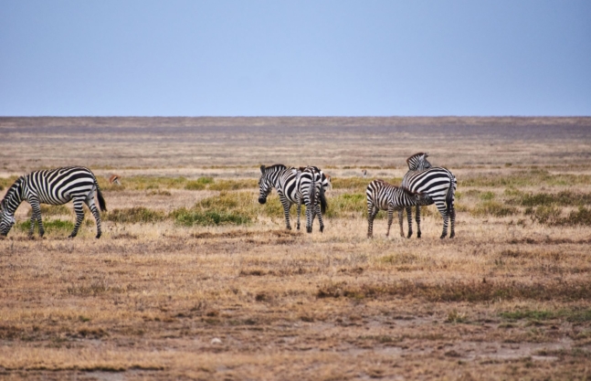 Serengeti National Park