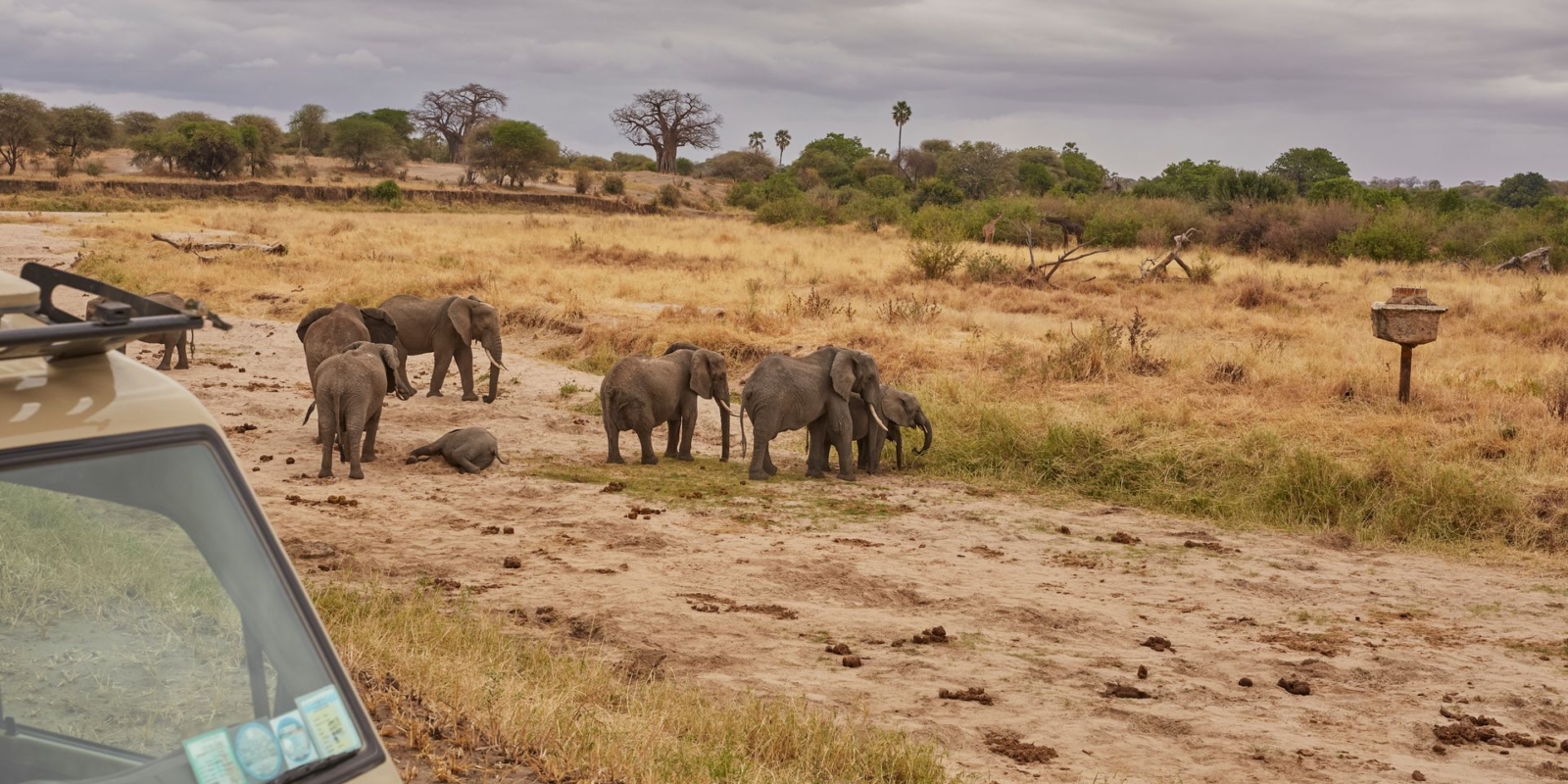 Tarangire National Park