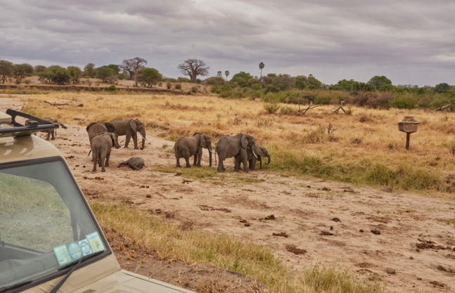 Tarangire National Park