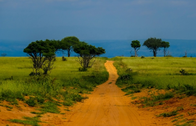 10 Days Rwanda Wildlife Safari