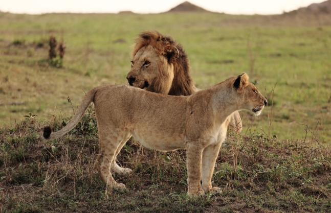 10 Days Uganda Safari Holiday